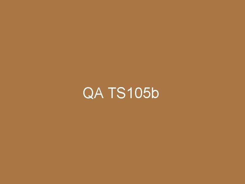 QA TS105 Priya borrowed N522QP checkout test